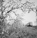 151335 Afbeelding van een diesel-electrisch treinstel DE 3 (plan U) van de N.S. met bloeiende bomen in landschap ter ...